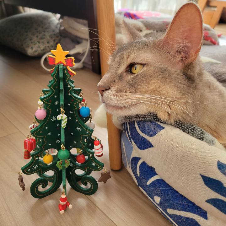 42c86b49 935e 4d82 87be 3b368c3a6261 1672025443312