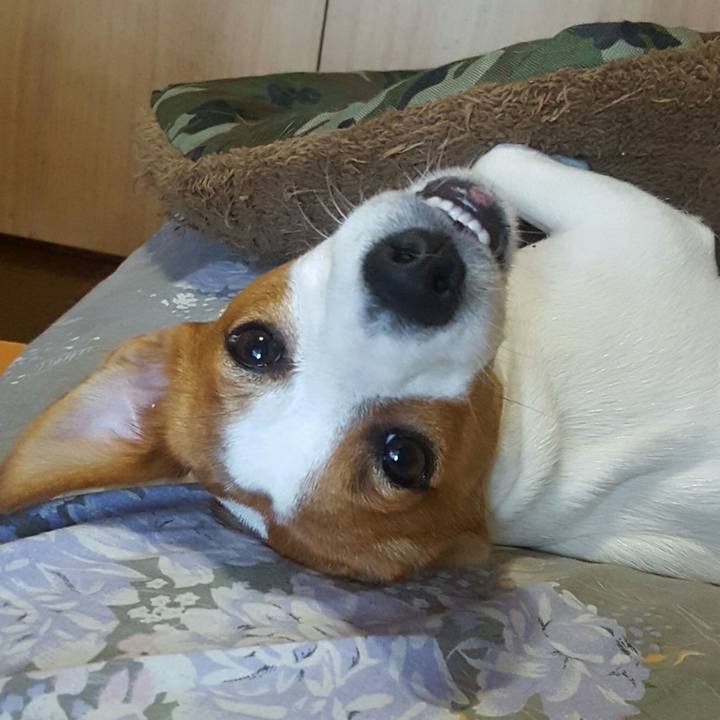 42c89a4b a780 41db b99d 5197824ff16a 1565510068336