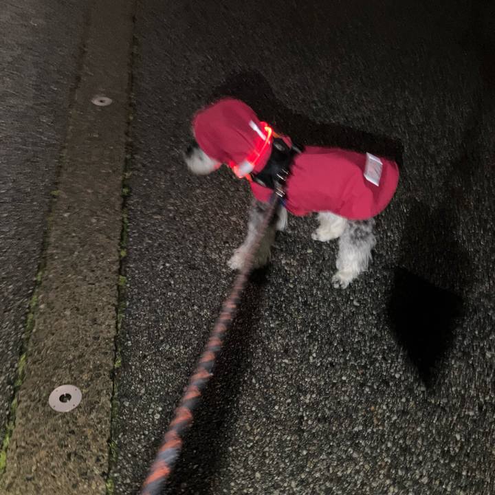 42c8aefe 843b 401d 918a 80754cebe84b 1774960377328