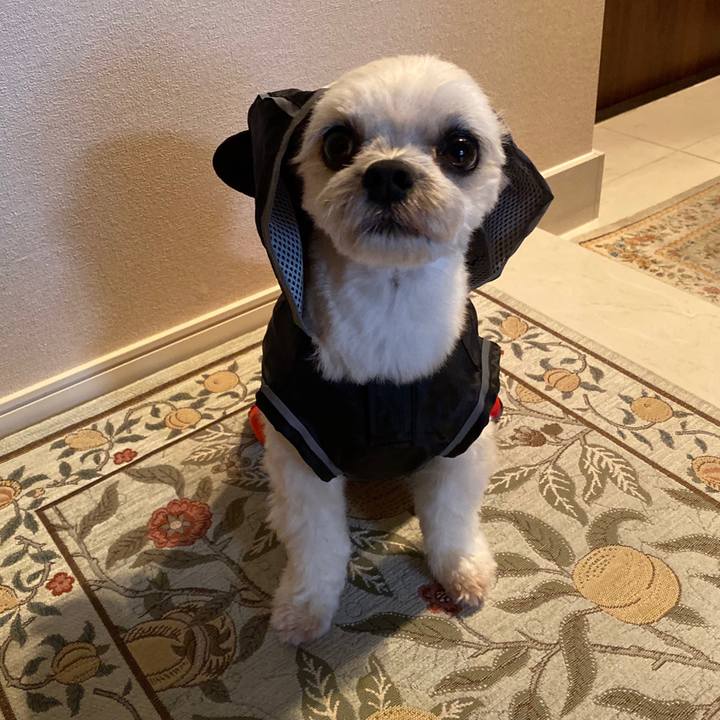 42c92c7f 822d 4f12 8ee2 b1e4615c6681 1570849790140