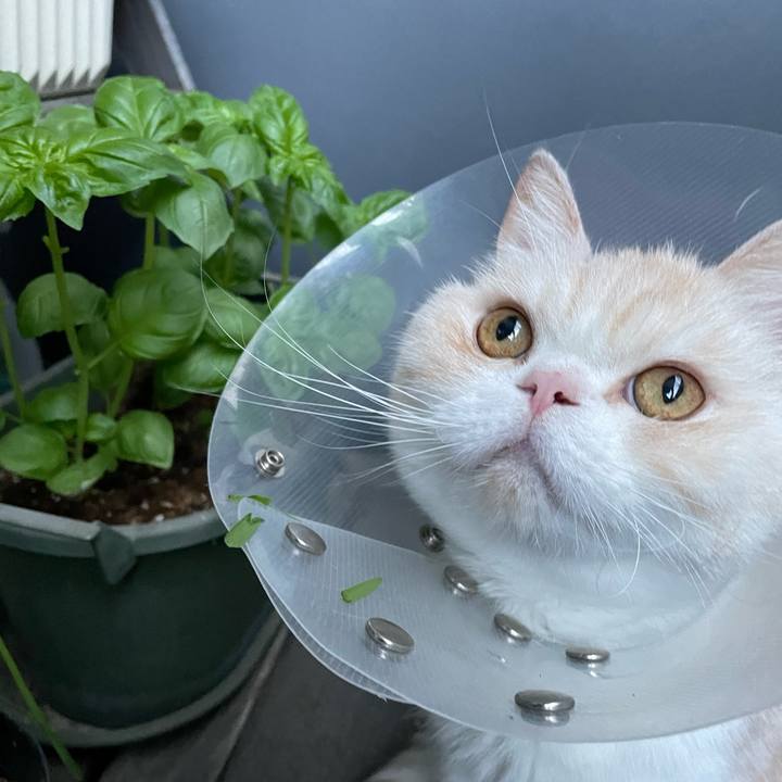 42c93bc5 8816 4280 803b 0ff3210a953c 1772932938753