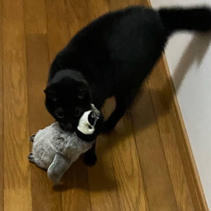 42c93eac 786c 4240 9369 8e0eff520f85 1634734214947