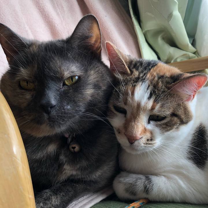 42c98e74 86c5 4a50 8716 2b1a1c383027 1549087461636