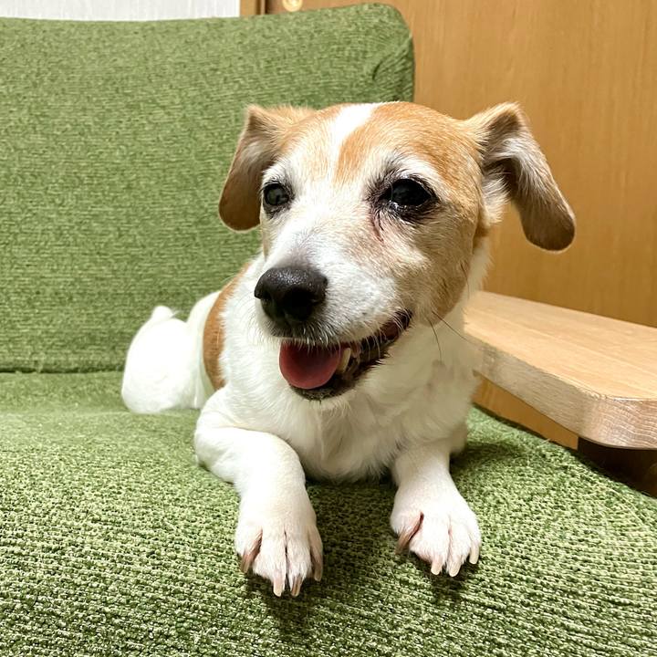 42c9a3f5 d9ba 4d9b a878 47c4c1fb6f58 1708862785483