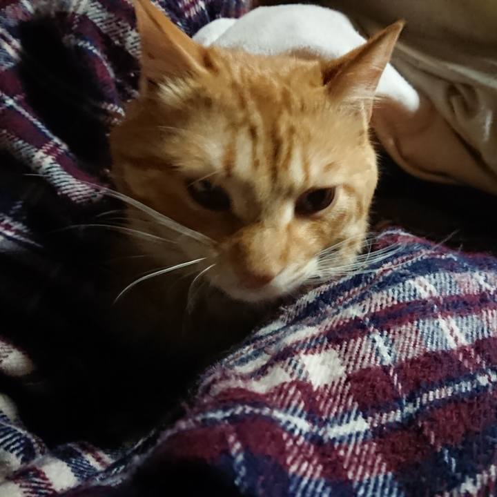 42c9a4e0 7981 4dd9 99eb 4fd5258f6856 1644958188912