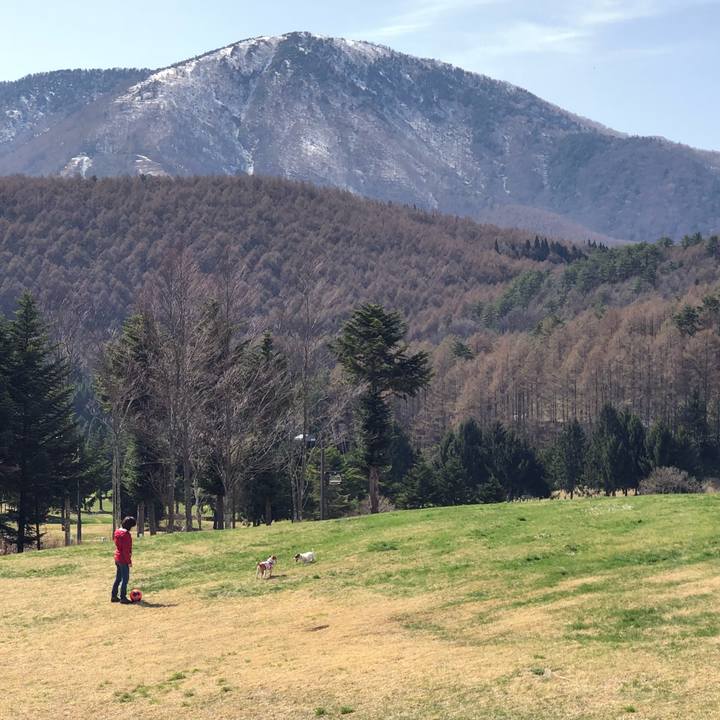 42c9c413 f102 4e4d a543 abc2ada8e8b1 1523509309741