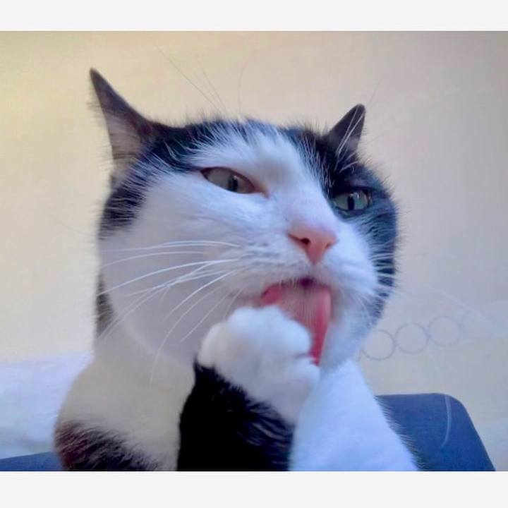 42c9e5c2 e333 41cf a912 6cc293b13d27 1636951442221