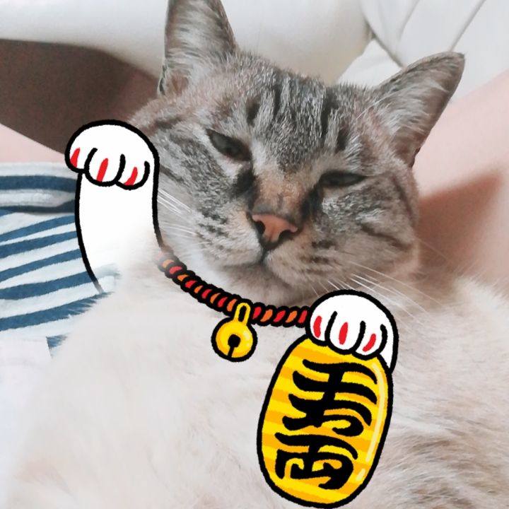 42c9f4b4 65c7 43ee 89a6 8b7712b97662 1562590761320