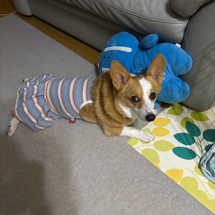 42c9f556 5ba4 44a5 81c9 54ca4b3d690b 1757513773845