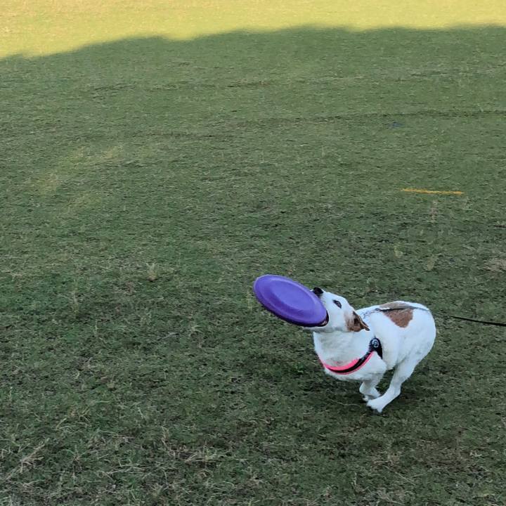 42ca1079 5281 47da a80e b25e324b14b7 1528538091502