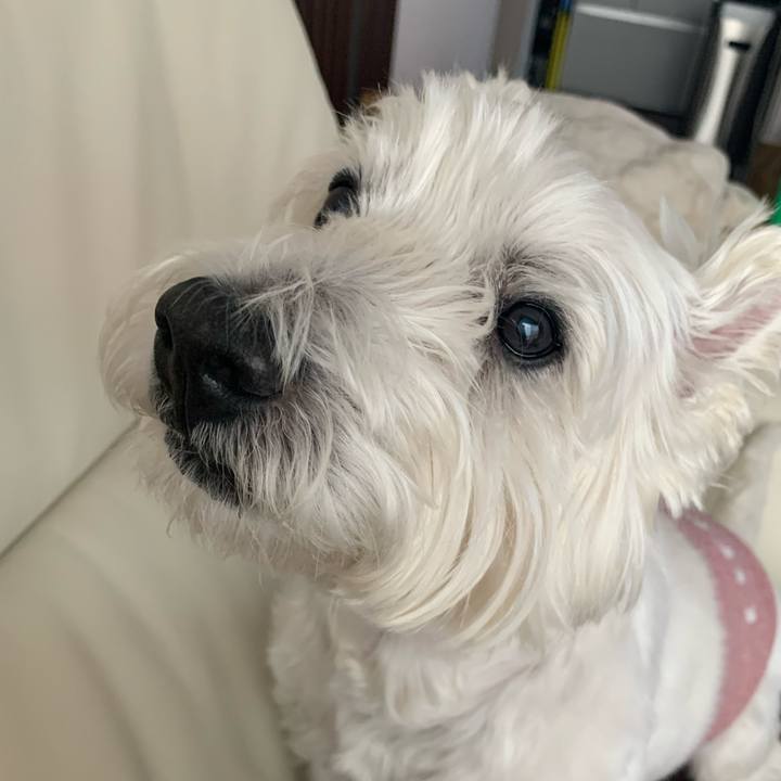 42ca23ef 812c 49b7 9a72 0cbb016ebc81 1635514430945