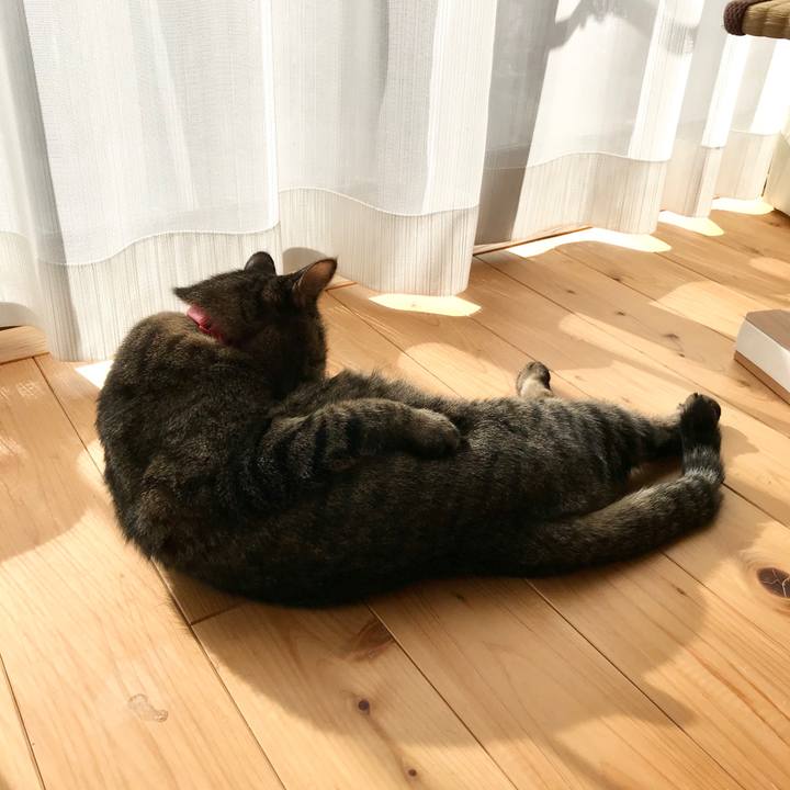 42ca4b5a add9 4a45 b0f9 8c22f5dbef3b 1575805781023