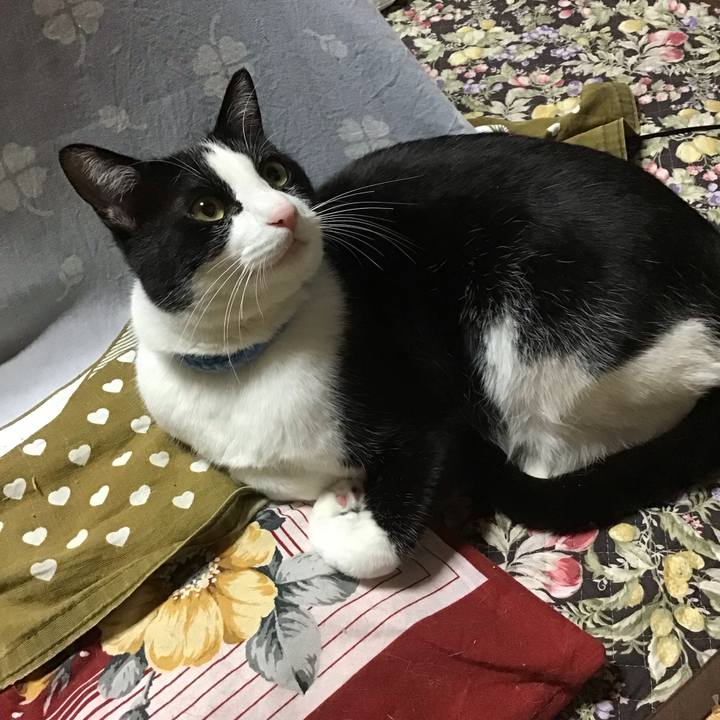 42ca590e 9f82 485a 8854 7c455762d0f2 1679137787001