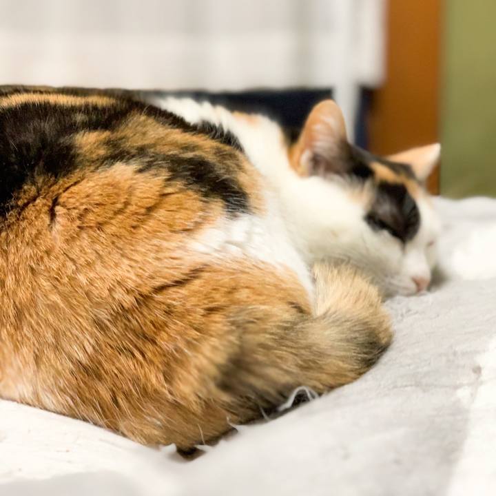 42ca971d 02b3 4ec3 acfc 05b75b3de4b6 1580696133174