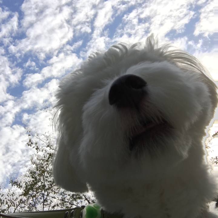 42caa1c1 c340 4e3f 8659 6a117b5b8ba1 1508806502743