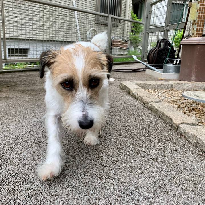 42cab351 c4ed 4f99 9d34 6ade42e1b04e 1654832897603