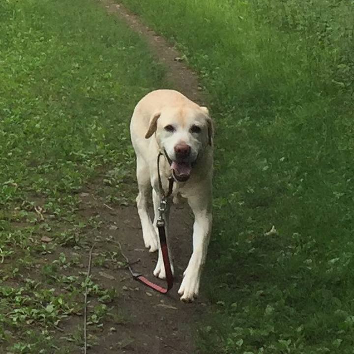 42caf108 1558 474d 8d64 e6076167a1e0 1526711009855