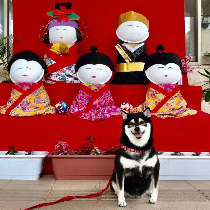 42cb070e 1131 441e a8f2 2d5e869bab73 1583202700644