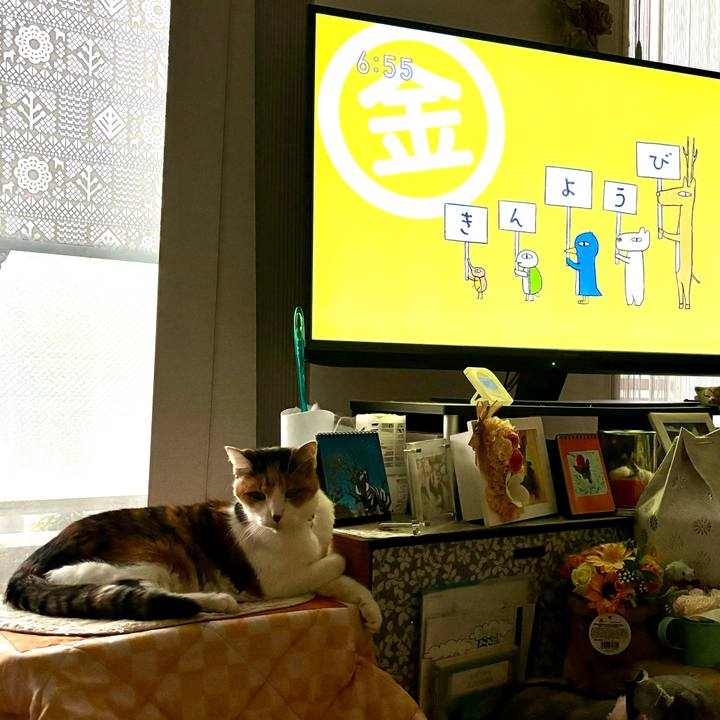 42cb0d3a 9084 4976 b717 08d6010f4d57 1704405520552