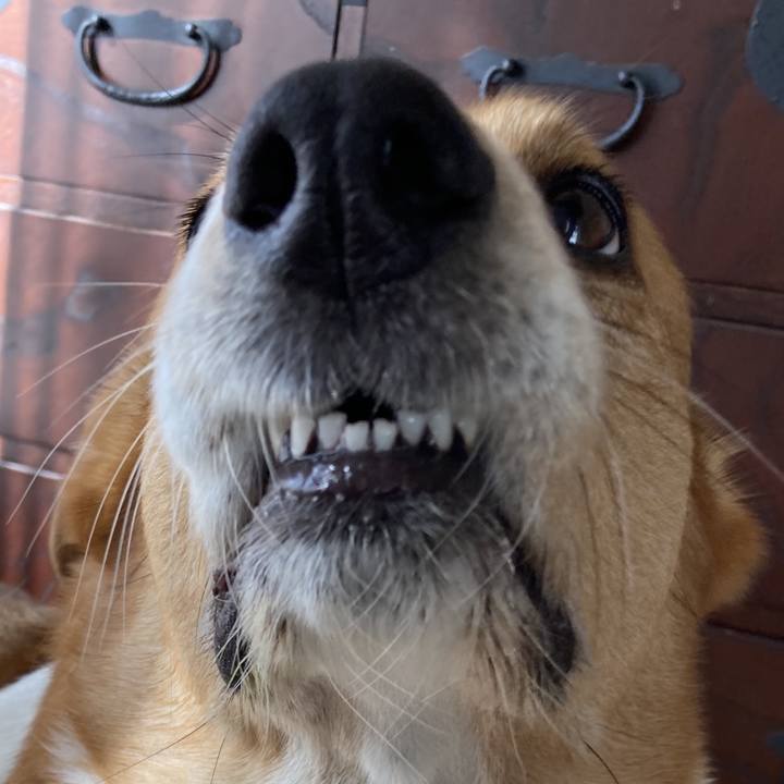 42cb1274 9fc1 404b 808a 9d0a18909c31 1740886474427