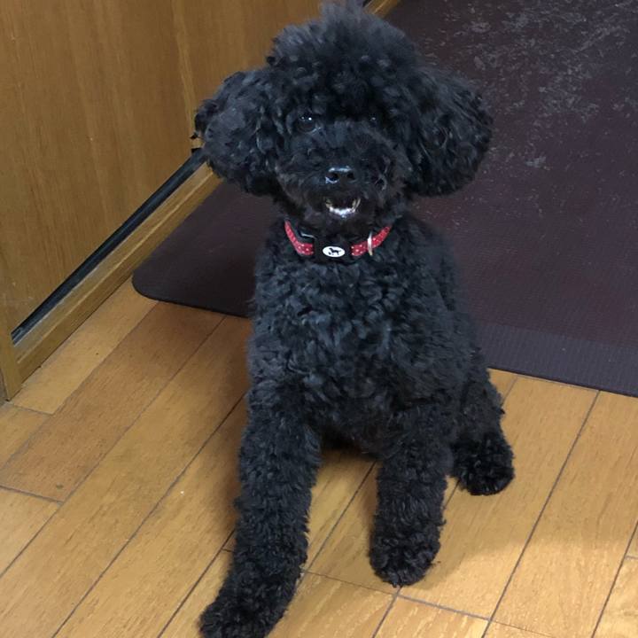 42cb1ffc a011 4ab9 8930 6148621e8f4a 1594425456877