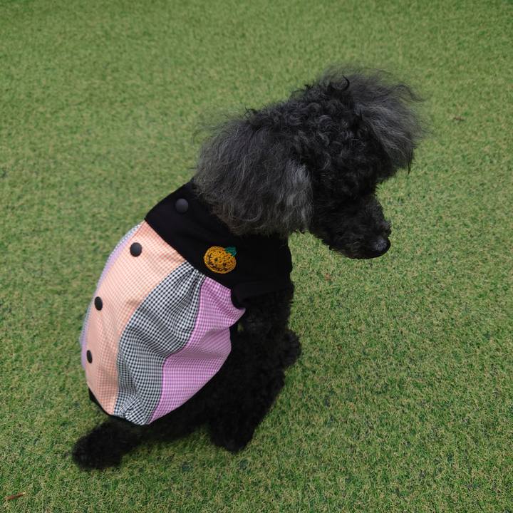 42cb40f0 ccda 4c4a b464 7410e88e6e3c 1760251132268