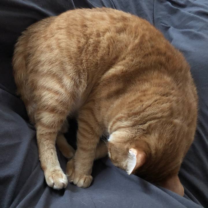 42cb4800 d655 4ee6 ac16 8226d2a9ba23 1624141874942