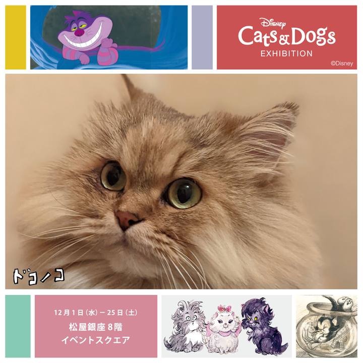 42cb579d e56b 4d49 ad06 f3944adf2e27 1638329153892