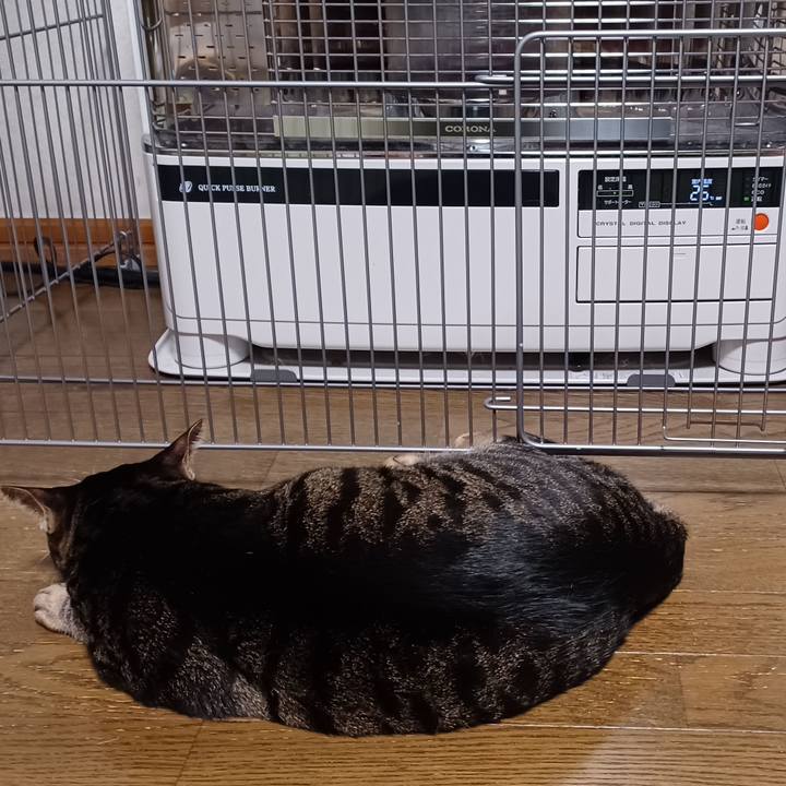 42cb9068 25b0 4fc8 8940 bfcc67697ee0 1665400351278