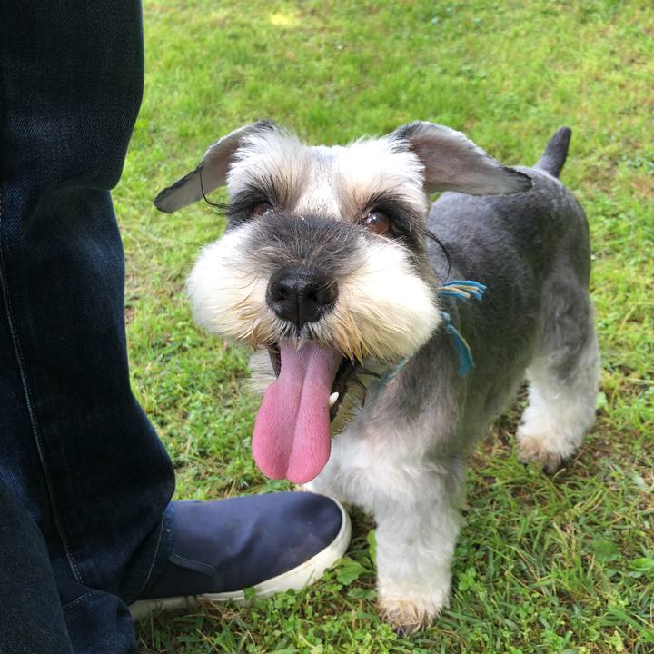 42cb9632 d532 4b9e 92b6 e62a1501f4fb 1529815554810