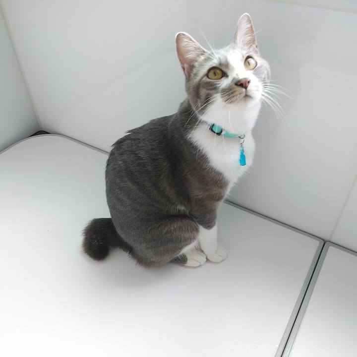 42cba800 d8e8 4737 b882 2c779f075930 1594507743465