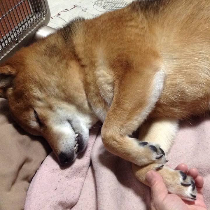 42cbdf2d 9cb2 448b ba5b 4f1e2a1fcb81 1517398523378