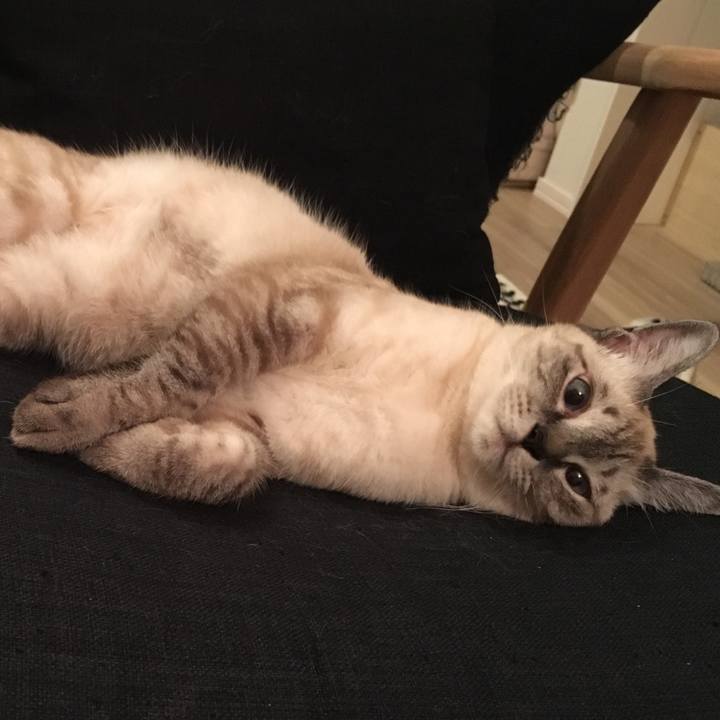 42cc3741 e59b 4dc7 815a 6dbe950ac9be 1568719918641