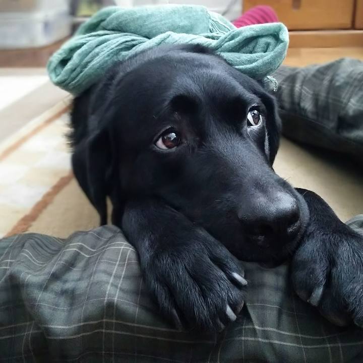 42cc6fe2 3894 4e31 bfaf 7dc1b6e4d7bb 1691808927431