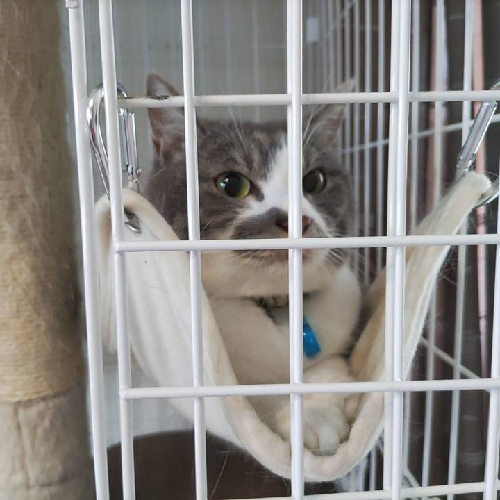 42cca1b8 99bb 4b0a 81fa 32d00dcd2fa5 1721094181473