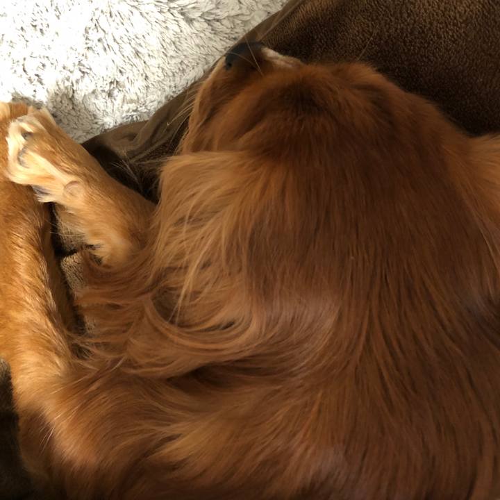 42ccbbe2 c0ca 4007 9b8c bddc5430d0b2 1578803177168