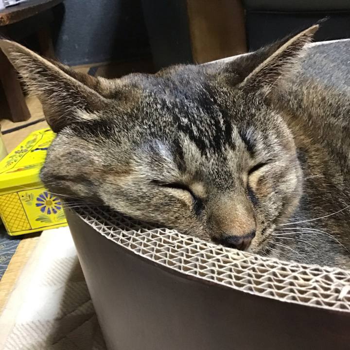 42ccc1ed 969e 4ac0 a339 dc87cde7273b 1701604125820