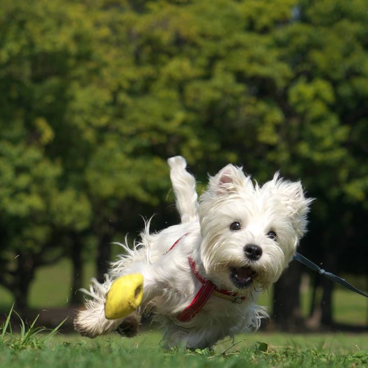 42cd0173 b5f9 49a0 8635 59f270bfc7ad 1524346807713