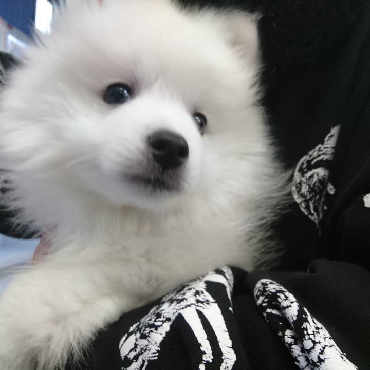 42cd4602 1f62 431f 8fce 99bfc37a6b6d 1545893936165