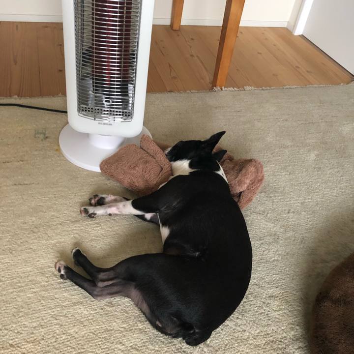 42cd5db7 a296 4731 81e8 e33e211d3a74 1639718638268