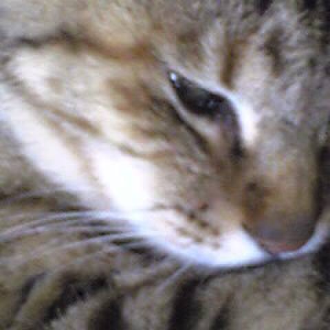 42cd873c d7d0 4559 8348 2284f194b2a8 1512038224522