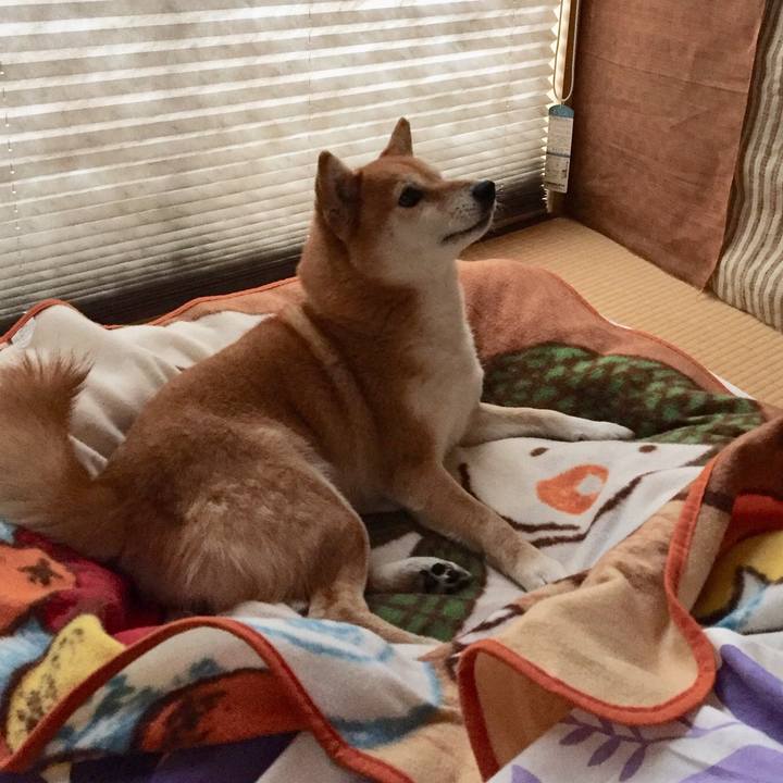 42cda9ff 2397 4867 88d3 6bba6f98065f 1518220556853