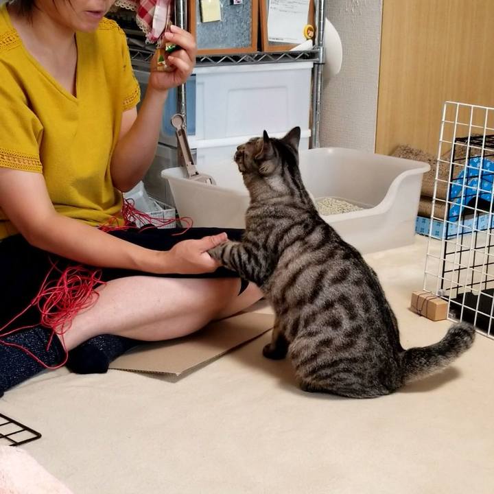 42ce246b 2f68 4c7b 964b 8e57f4f28500 1691239030670