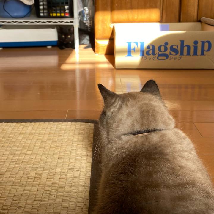 42ceace7 9dbc 4203 a0b0 25d7bed797af 1635986685910