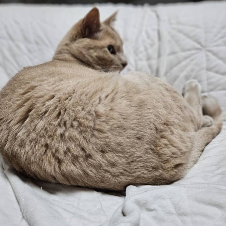 42cef8a5 1758 400a 957a 583bb8b19611 1753791373313