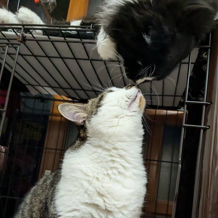 42cefb15 24c4 4d68 bfc0 2514318bb643 1723151168181