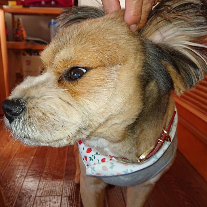 42cf116d 6cad 4802 b05c 5f63b5751da9 1555143914239