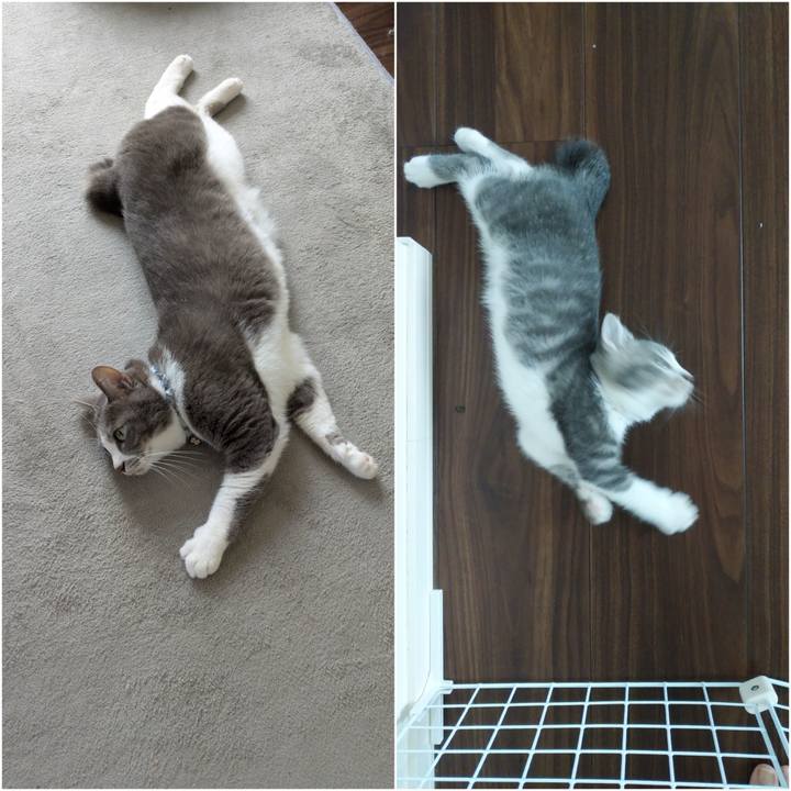 42cf17f9 89e7 4b8d a6ea 6df3ff86881f 1755779640805