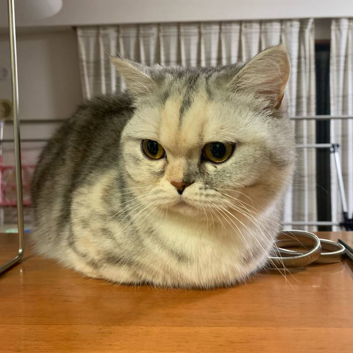 42cf53fa 4a3a 4e56 b44e 51765f04ba42 1710419350864