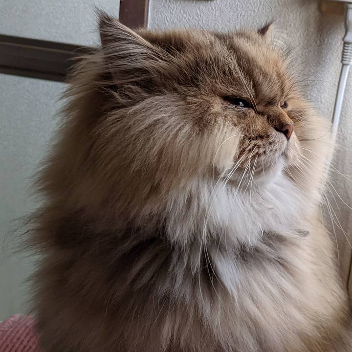 42cf68bf ad33 4220 a973 637a8bf3c7f9 1637890290682